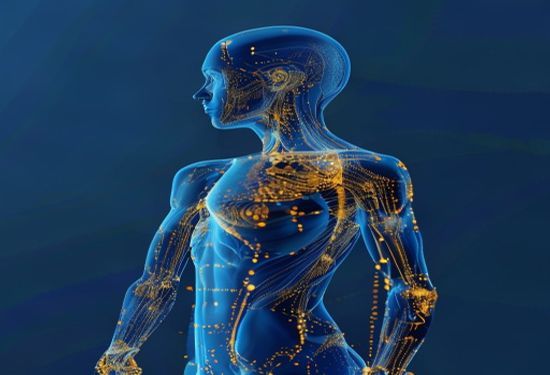 AI body scans