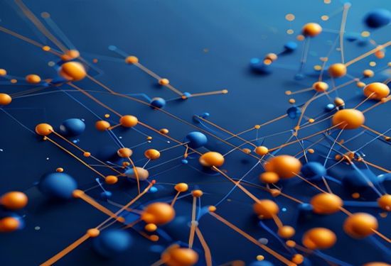 NLP in networking